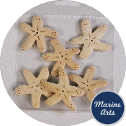 8011-P8 - Wooden Starfish Motif - 6 Pack